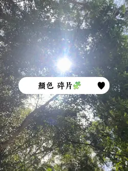 顏色｜碎片🧩