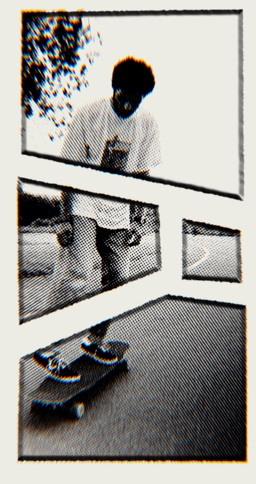 skateboard