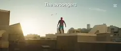 The avoongers