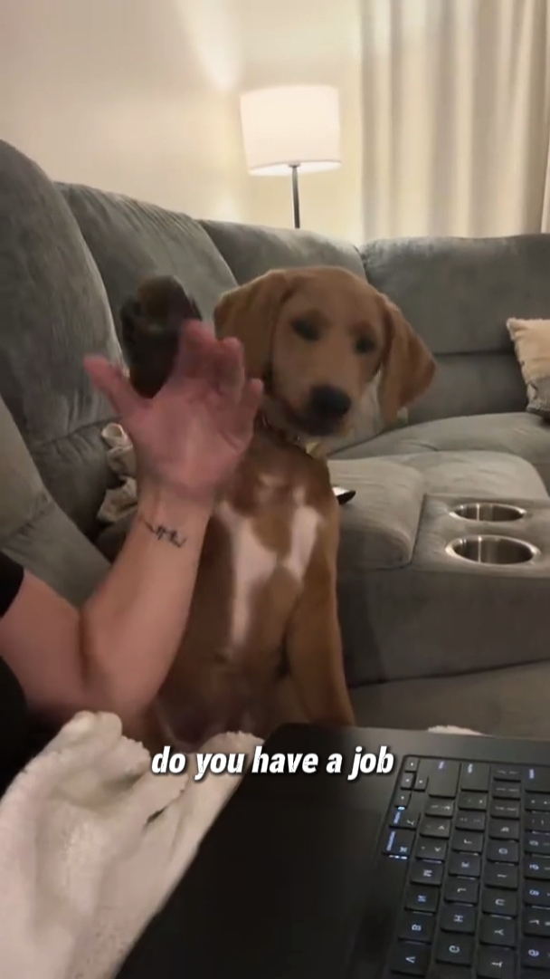 DO YOU HAVE A JOB