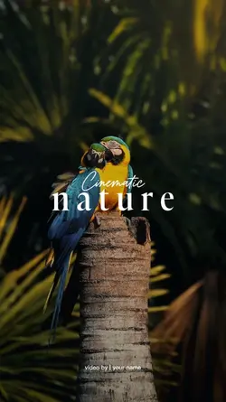 CINEMATIC NATURE