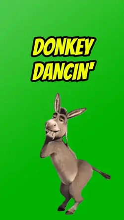 DANCING DONKEY