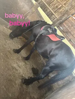 she just wants to <3
