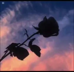 저랑 99일 할사람...?