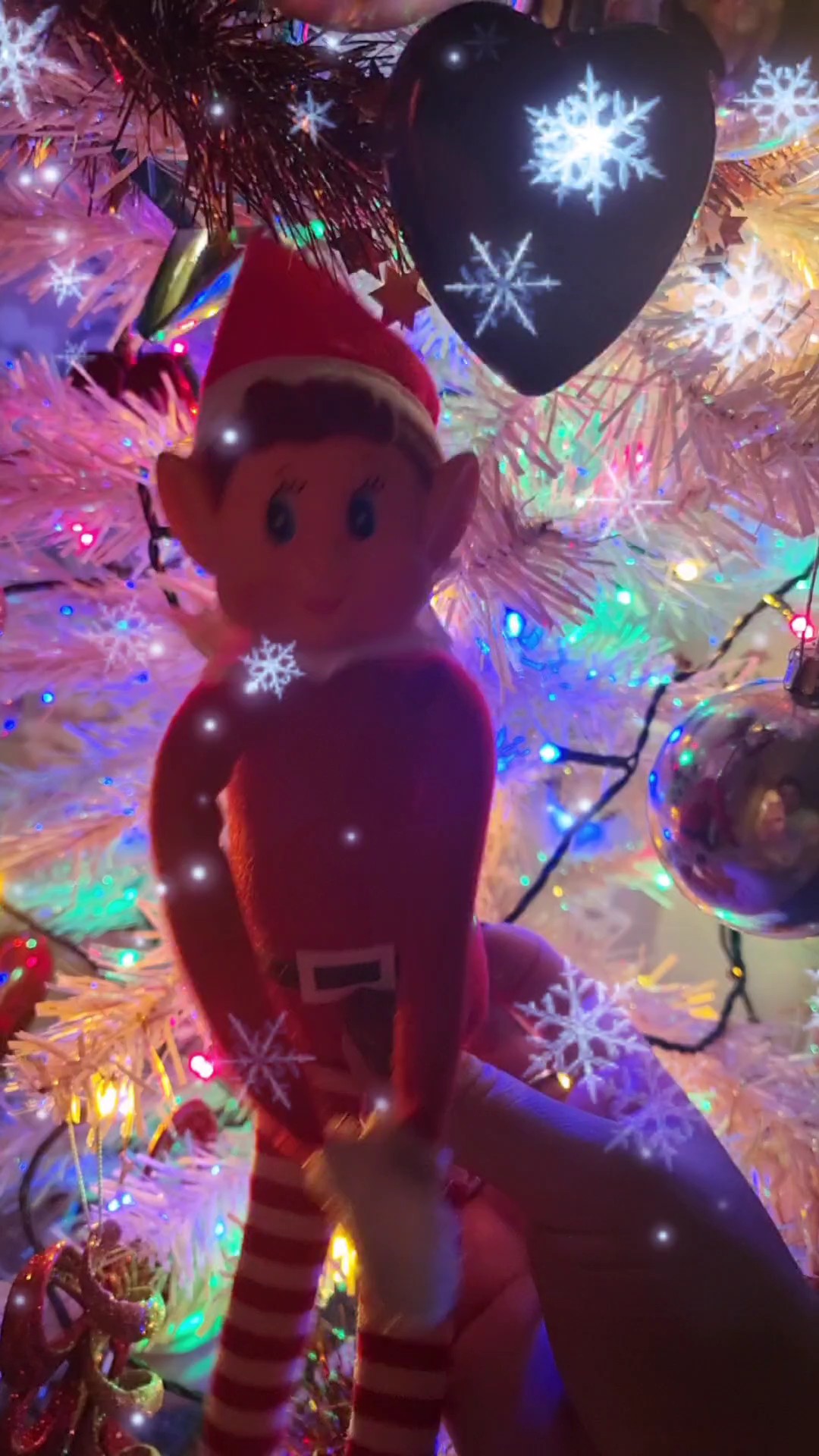 elf on the shelf 