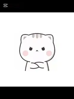 Reply Chat