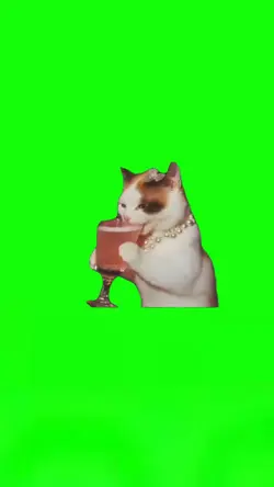 Laughing Cat Meme