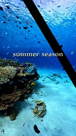 summer season