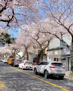 gak usah sampe korea