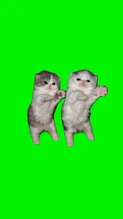 SELF AWARE KITTENS 