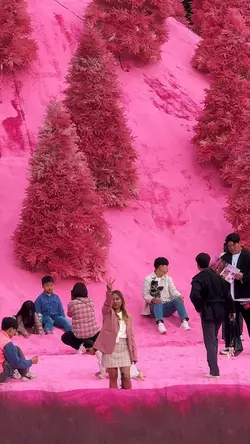 1 2 3 travel zoom ou