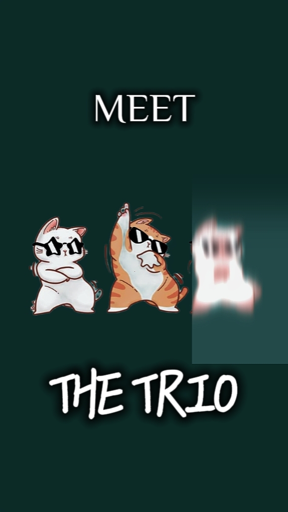MEET THE TRIO