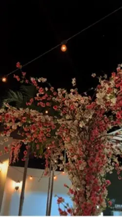 Festa de 15 anos