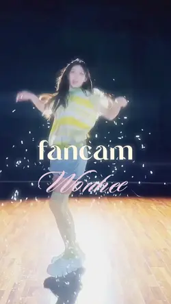 fancam