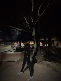 Night Video 