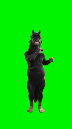 PHONKY HORSE