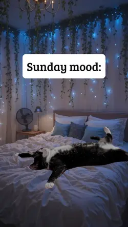 sunday mood
