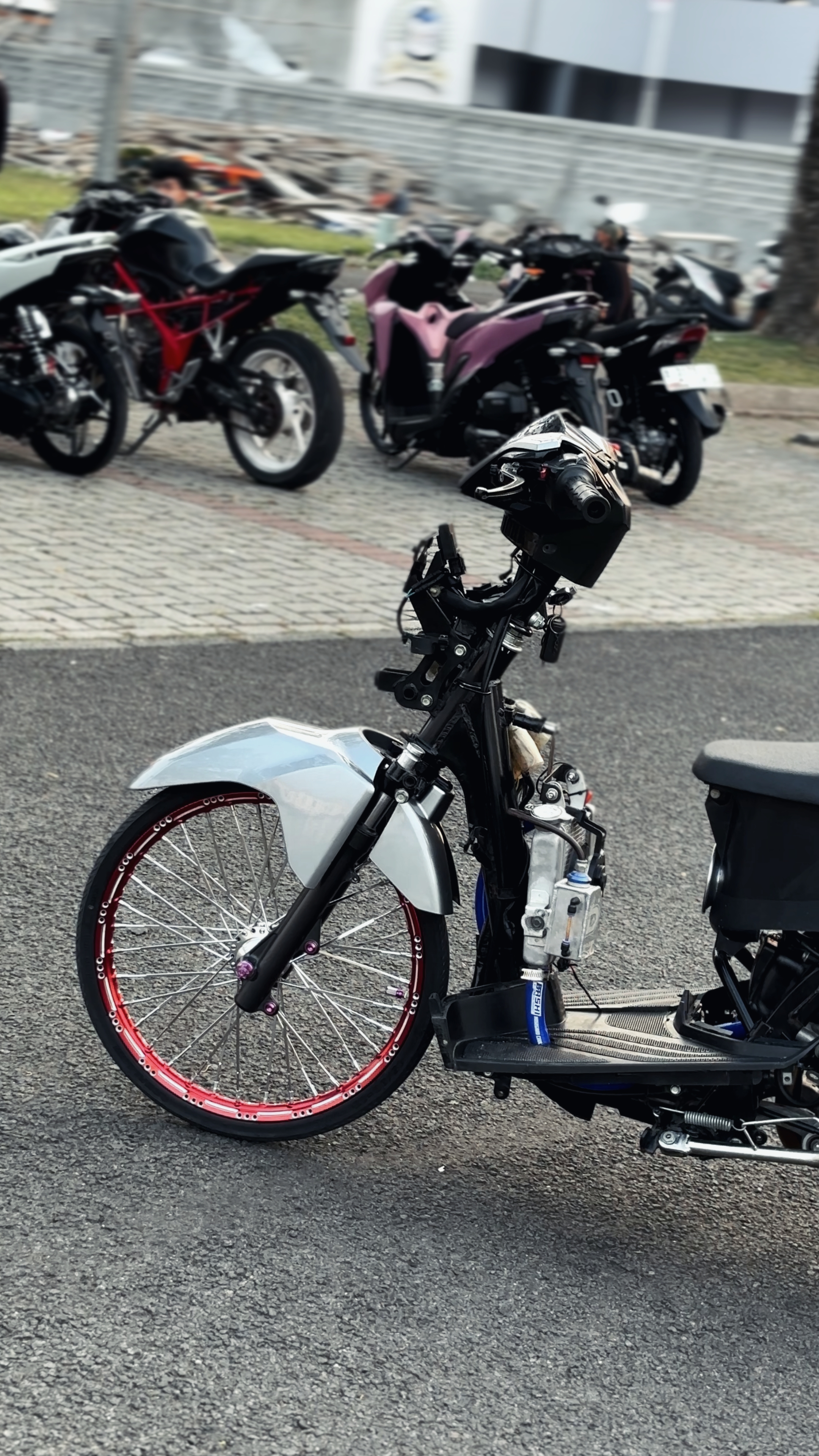 Cover Picture