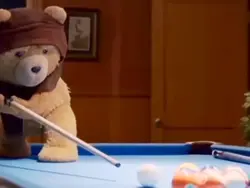 ted pool