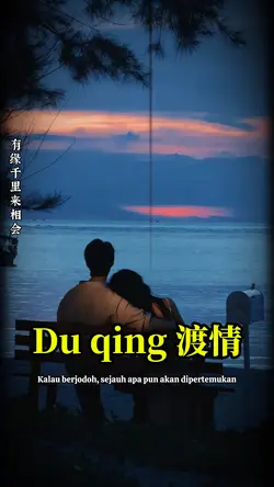 Du qing 渡情
