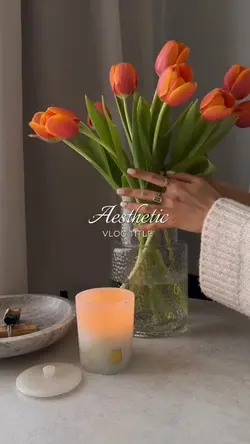 aesthetic vlog