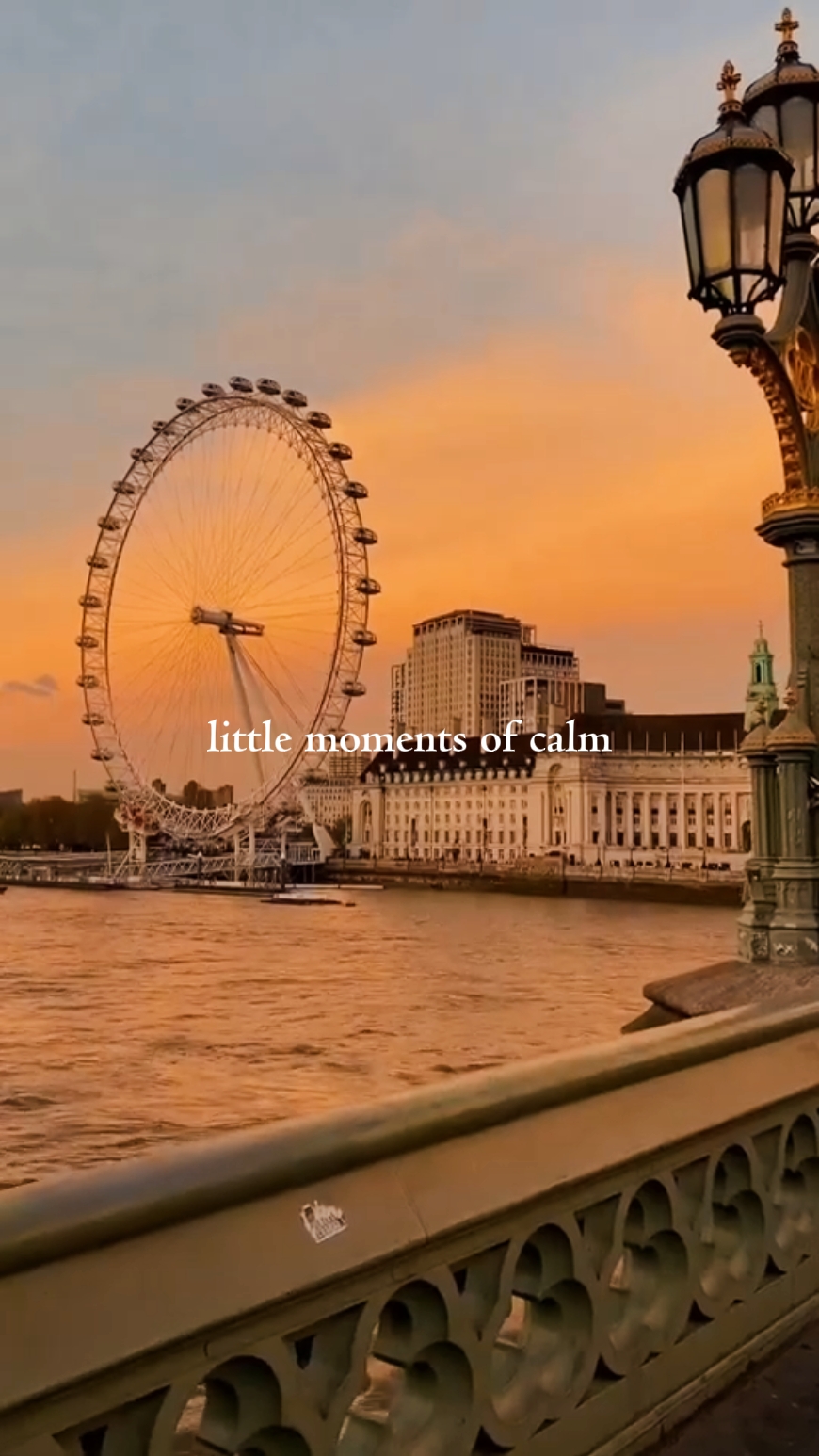 vlog mini