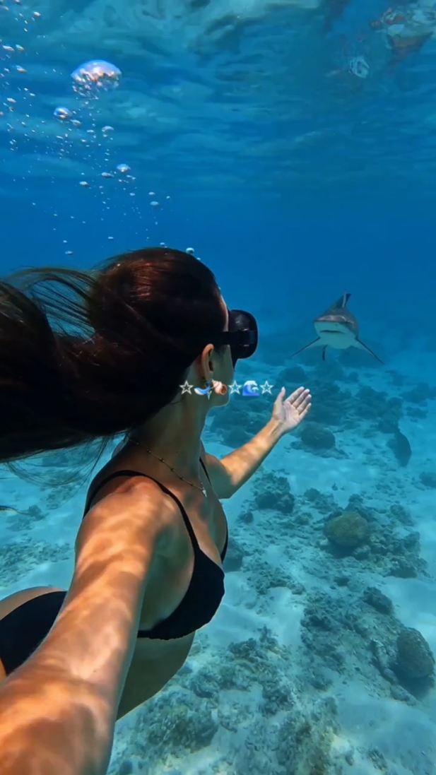 Sous la mer