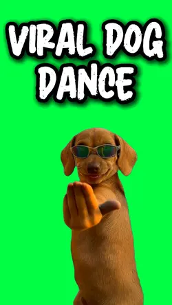 VIRAL DANCING DOG