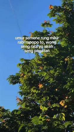 bahan sw