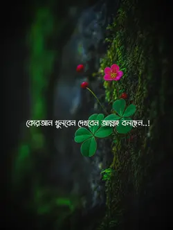 আবু তোহা আদনান। 