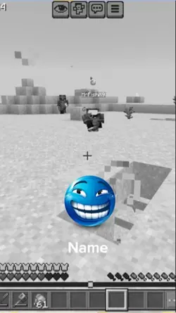 Minecraft Trap