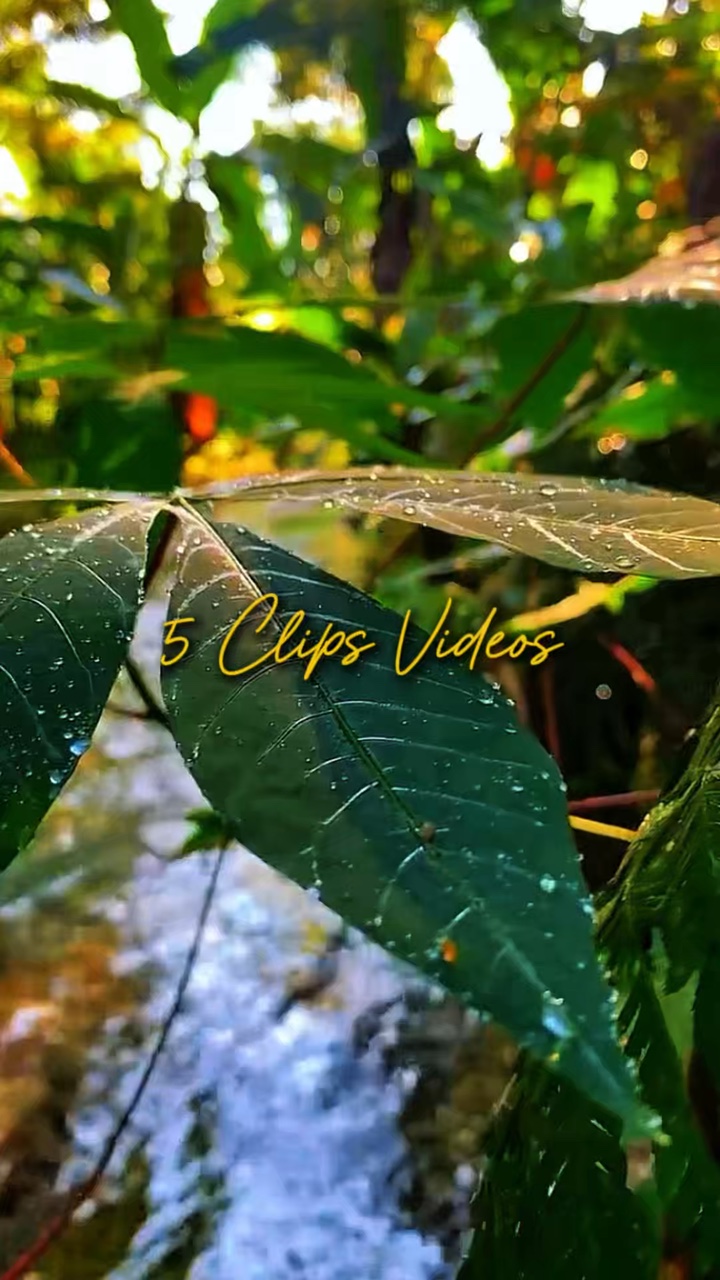 5 Videos Nature