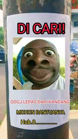 yamet kudasi