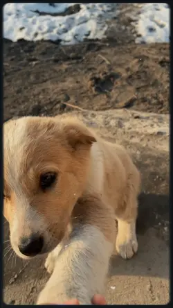 Slowmotion video