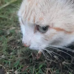 Bombastic side eye