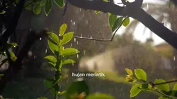 hujan merintik daun