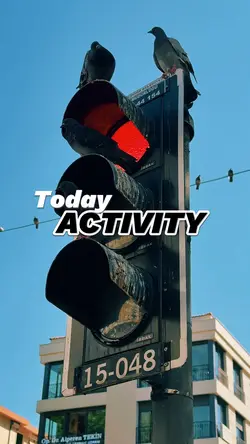 Today Activity 