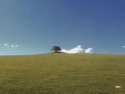 500 miles trend