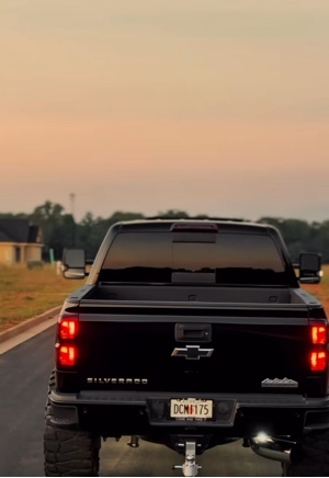 Cover Picture