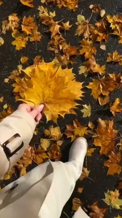 aesthetic autumn 