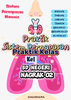 Praktek IPAS