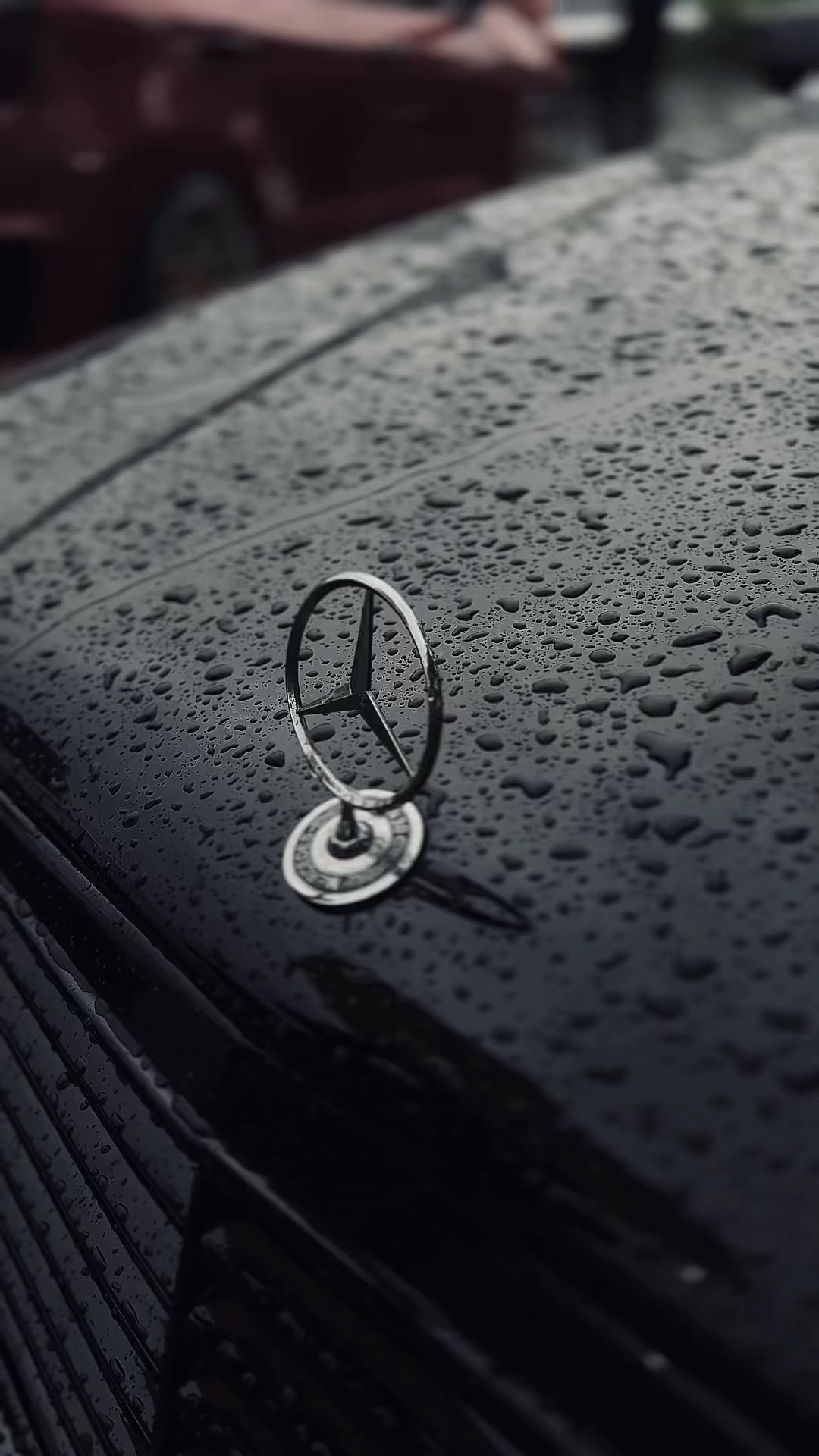AUTO-VORLAGE🚀
