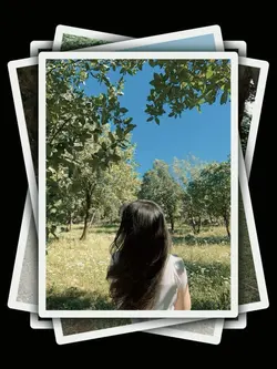 8Pic Clip Transition