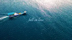 Fall in love 