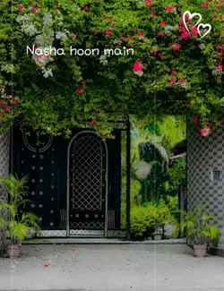 Nasha Hoo///