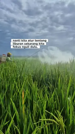 kerja nguli