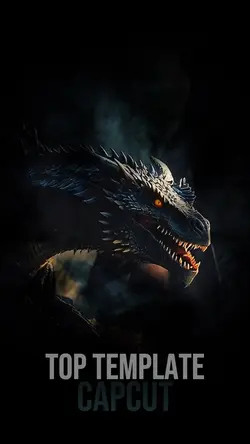 Dragon Intro Top