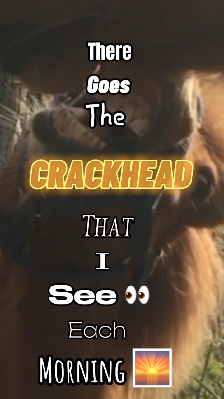 The crackhead that I