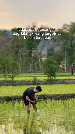 story 
