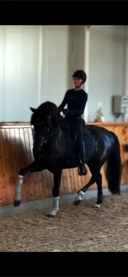 horse !! 💓🥹